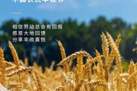 探秘中国节日与农业循环的深厚联系