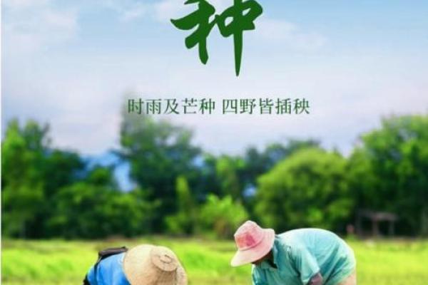 我国传统节日的农耕起源与节气密切相关 我国传统节日的农耕起源与节气密切相关