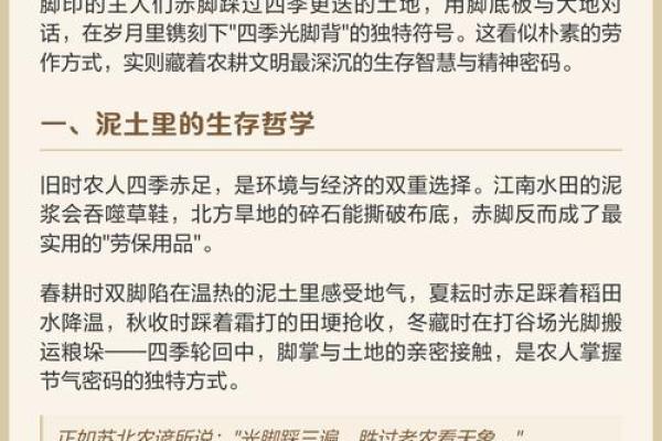 农耕季节的爱与传承 农耕季节的爱与传承