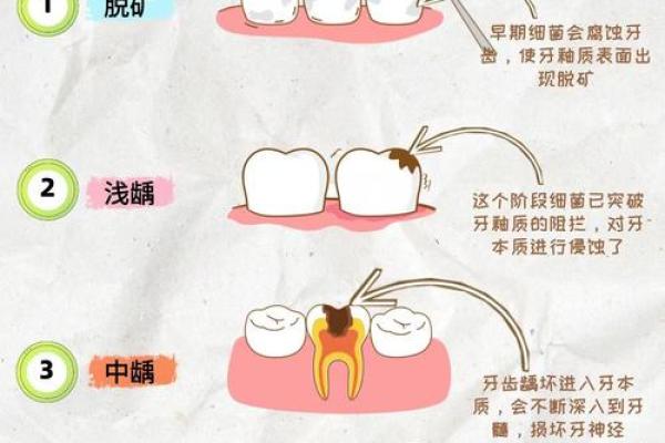 牙齿的命运密码:你忽视的细节竟然暗藏玄机,改变命运从这里开始 牙齿的命运密码:你忽视的细节竟然暗藏玄机,改变命运从这里开始