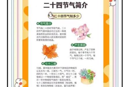 四月节气与传统节日：探寻春天的自然奥秘