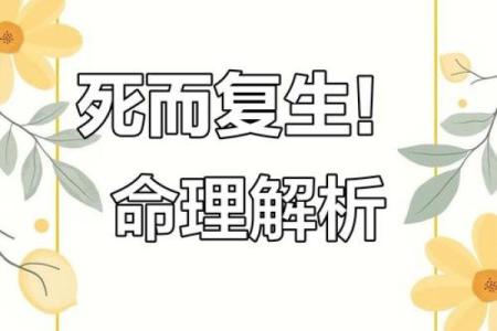 八字命理暗藏玄机，揭开你命运的神秘面纱