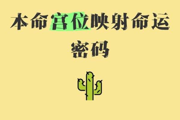 玄彬的命运密码:他如何通过八字改变人生轨迹 玄彬的命运密码:他如何通过八字改变人生轨迹