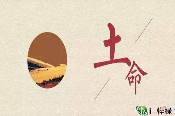 命运密码解密:命理君臣背后的暗藏玄机,如何打破命运的束缚? 命运密码解密:命理君臣背后的暗藏玄机,如何打破命运的束缚?