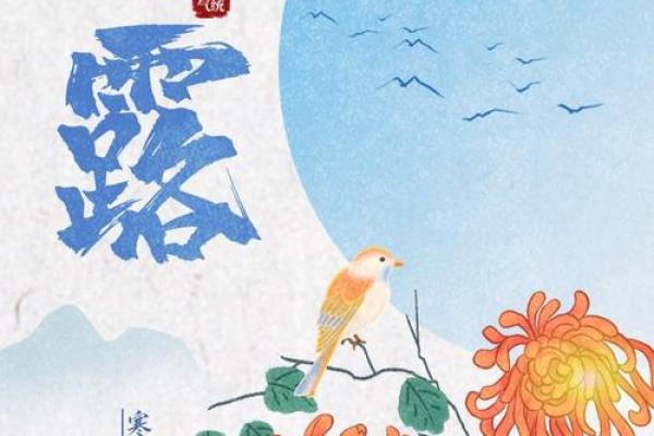 十一月的天文历法:二十四节气中的立冬与寒露 十一月的天文历法:二十四节气中的立冬与寒露