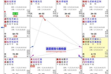 命运密码解密：命理君臣背后的暗藏玄机，如何打破命运的束缚？