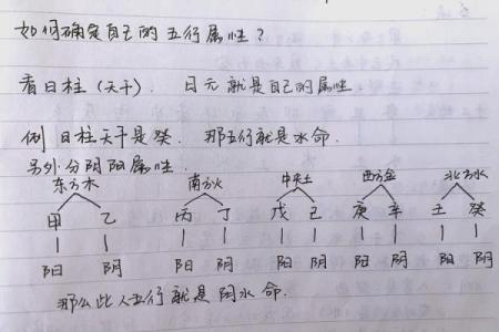五行格局揭秘：八字如何影响你的性格解析