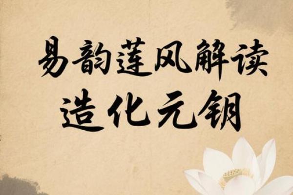 命运密码如何改变？易海莲华揭秘八字命理的真正奥秘