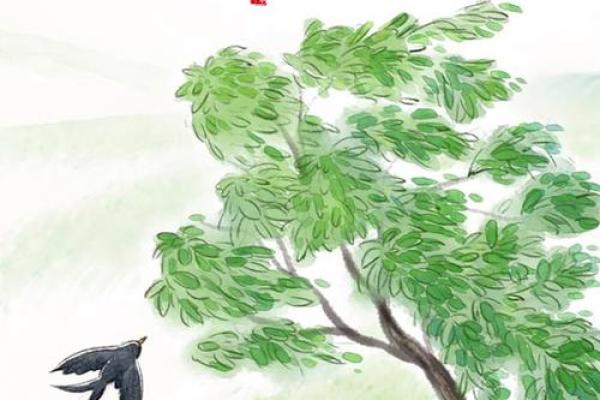 立秋前后，天文现象的奥秘与节令变迁