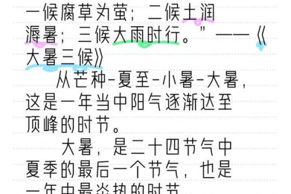 养生节气：如何通过传统节日调养身心