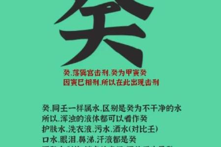 五行格局中的癸水之谜：揭秘性格如何反而助你成功