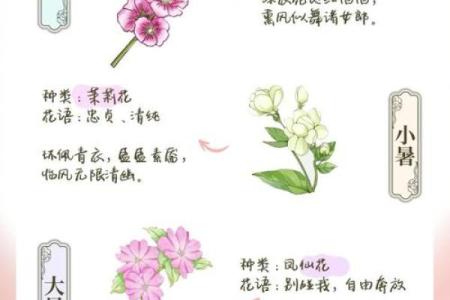 天文学的天文奇观与农耕节气的完美交织