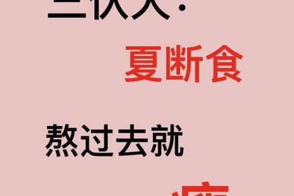 迎接夏至的健康饮食法则,保持身体平衡 迎接夏至的健康饮食法则,保持身体平衡