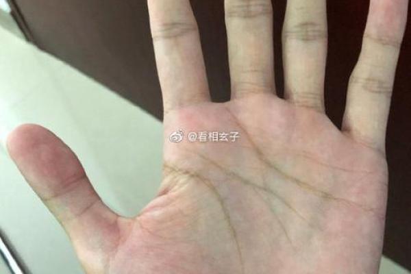 李嫣八字命理揭秘，如何突破命运的束缚，改变一生？