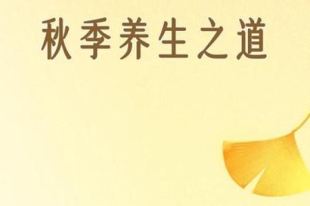 十月节气与养生：如何根据秋季特点调整生活方式