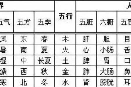 11月五行格局揭秘：你的性格密码如何解读？