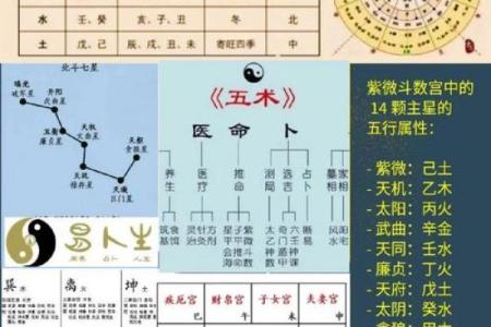 五行格局重塑术：五行神雷教你如何扭转命运，避开性格误区
