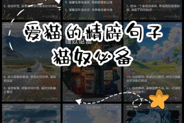 你家的猫竟然藏着命运暗藏玄机,如何改变它对你的人生影响 你家的猫竟然藏着命运暗藏玄机,如何改变它对你的人生影响