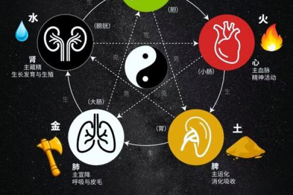 名字五行木的秘密：揭秘如何运用风水布局改变人生格局