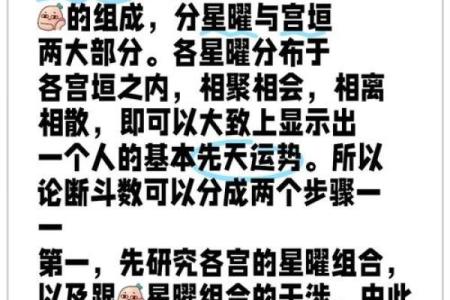 微字五行性格解析：揭秘你的命运密码，如何找到最佳人生格局？