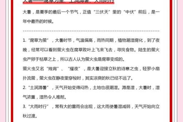 如何利用大暑节气调养身体,提升免疫力 如何利用大暑节气调养身体,提升免疫力