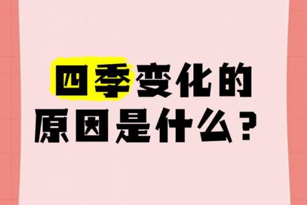 四季变迁与节日文化的深度融合 四季变迁与节日文化的深度融合