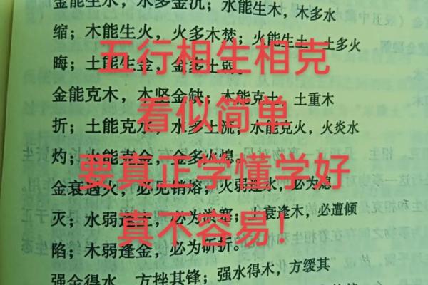 2001年五行属木,揭秘性格解析中的五大误区你中了几招? 2001年五行属木,揭秘性格解析中的五大误区你中了几招?
