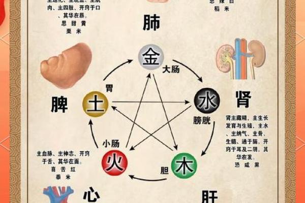 五行格局揭秘:如何洞察性格解析的奥秘? 五行格局揭秘:如何洞察性格解析的奥秘?