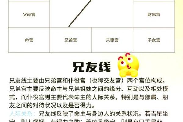 命运密码揭示：周易八字如何改变你的人生轨迹