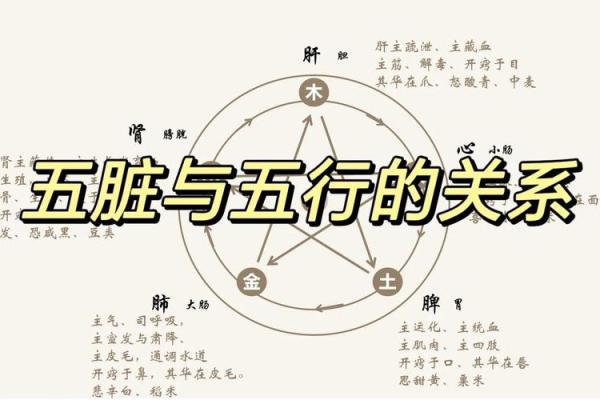 如何利用珍五行格局？打造你的个人魅力与成功之道