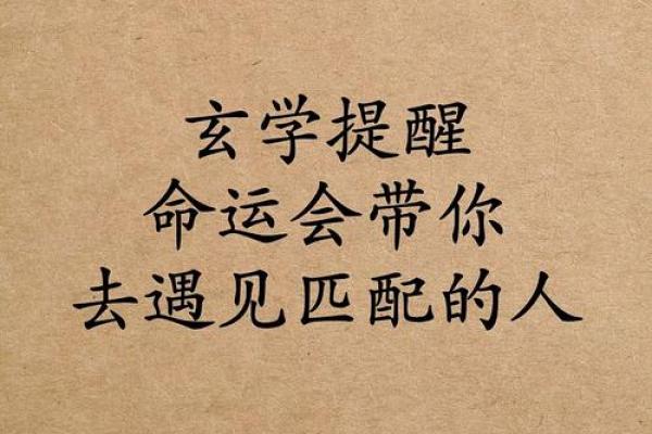 改变命运的关键在此：卜阳揭露八字背后的玄机