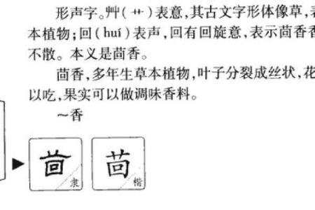 蒙字五行格局解析：揭秘你的性格密码，反而能助你成功？