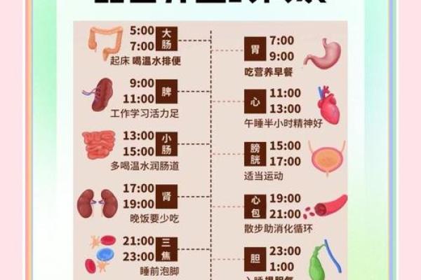 生日与节日同庆,如何通过养生习惯延年益寿 生日与节日同庆,如何通过养生习惯延年益寿