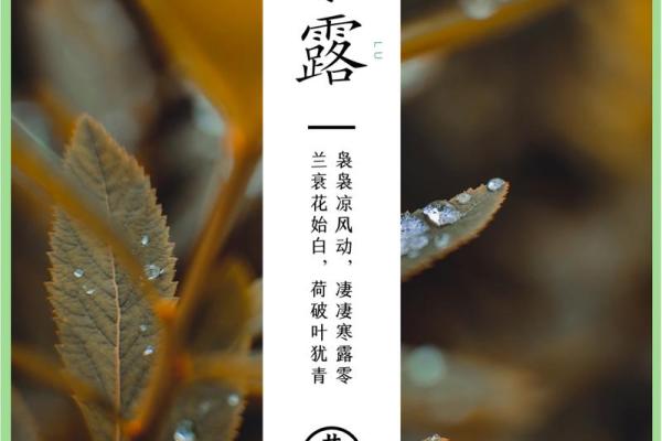 寒露:寒露时节的天文现象与养生方法 寒露:寒露时节的天文现象与养生方法