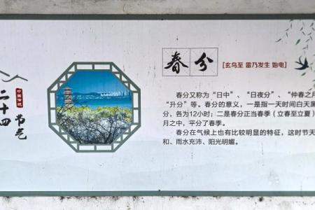迎接春分，天文变化如何影响我们的生活？