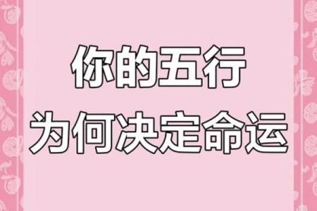 五行性格解析：揭秘你的命运走向与潜能