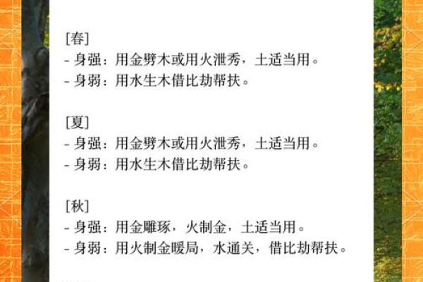栗五行性格解析：如何通过五行格局改变自身运势？