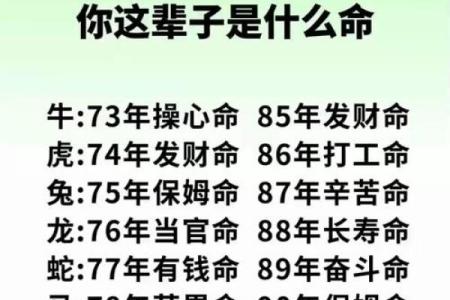 颠覆传统认知：八字命理中的命运密码