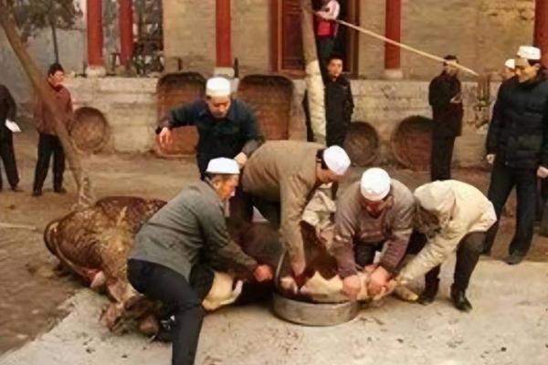 今天是回族的重要节日,了解背后的历史与文化 今天是回族的重要节日,了解背后的历史与文化