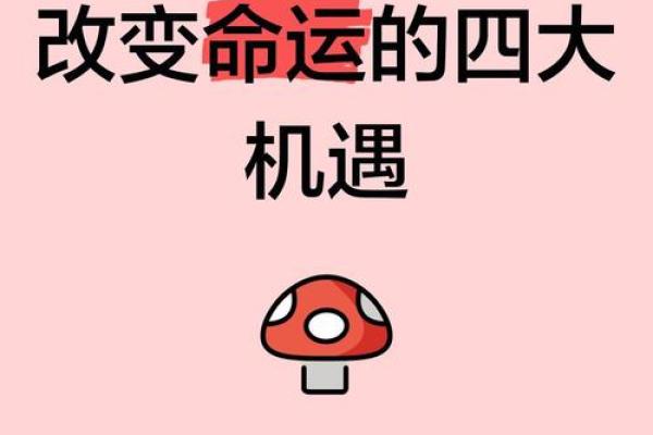 通过君臣命理掌控命运,改变未来的方向 通过君臣命理掌控命运,改变未来的方向