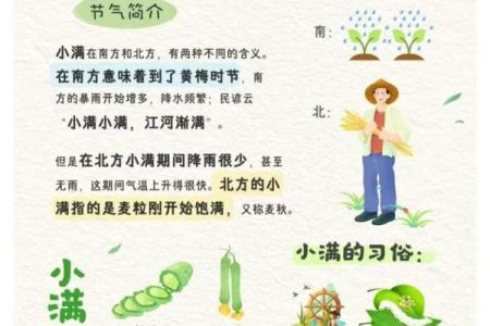 六月五日的节气与养生：如何迎接小满节气的健康之道