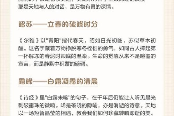 探索我国节日时间表背后的农耕智慧与生活哲学