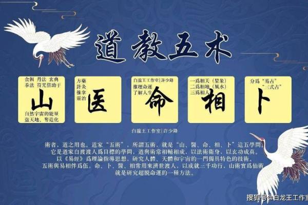 毛的五行格局，揭秘你的天赋与弱点，避开人生陷阱