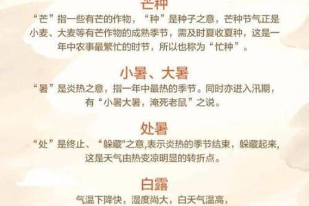 探索我国节日时间表背后的农耕智慧与生活哲学