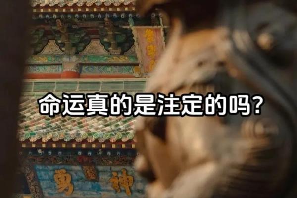 刘彻命理揭秘:命运密码中的隐藏玄机,你能读懂吗? 刘彻命理揭秘:命运密码中的隐藏玄机,你能读懂吗?