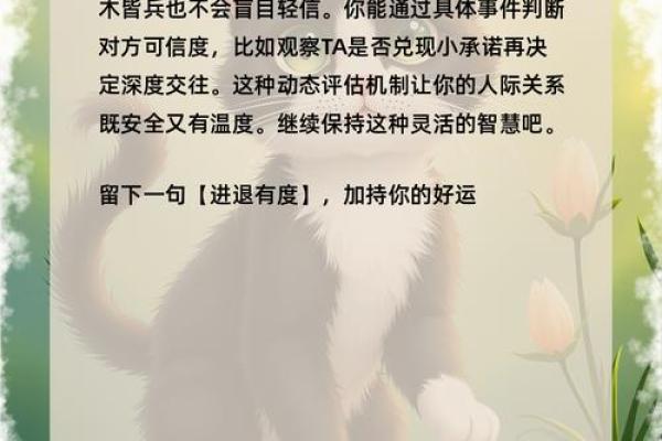 从猫咪的命理解析命运密码，如何做出改变迎接全新人生