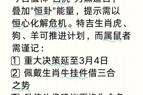 颠覆传统！如何通过鼠的八字命理改变你的未来？