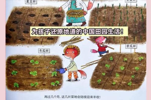 九月农耕习俗：丰收季节中的传统与现代农业结合