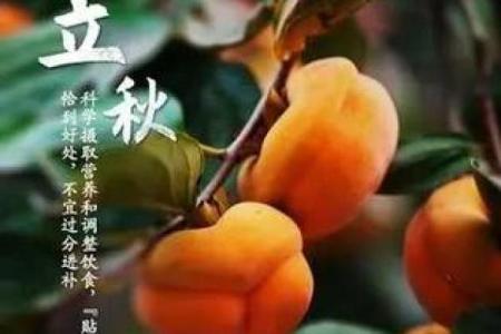 九月农耕习俗：丰收季节中的传统与现代农业结合