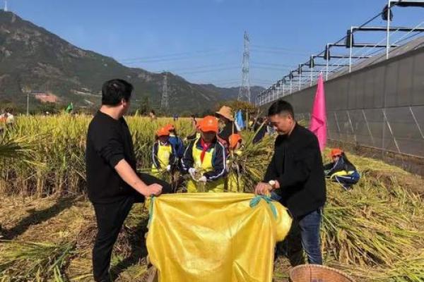 走进西方节日中的农耕历史与社会意义